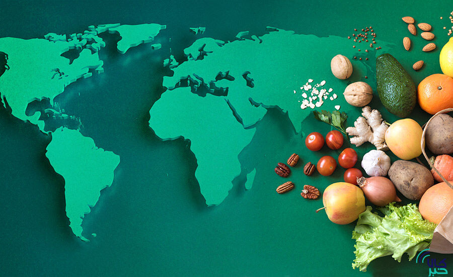 فائو: تداوم کاهش قیمت جهانی غذا