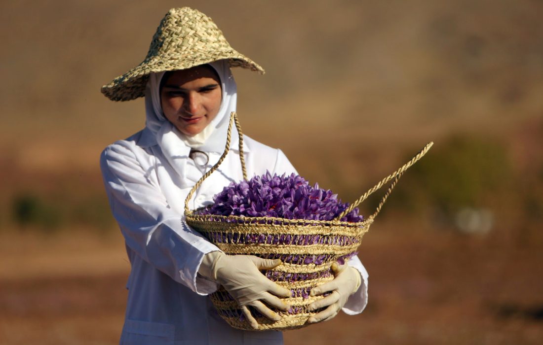 خبر خوش برای صادرکنندگان زعفران