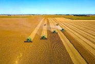 جای خالی برنامه‌ریزی اقلیمی در استفاده از ظرفیت‌های کشاورزی