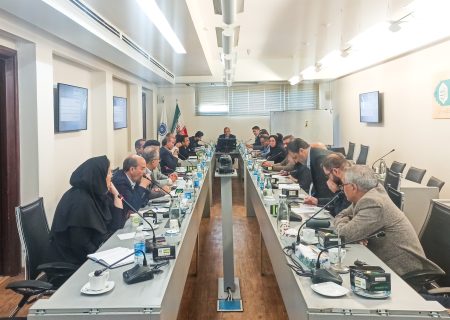 بررسی موانع تعیین تکلیف 300 واحد راکد شهرک تخصصی چوب و مبلمان شرق کشور و سند بخش تعاون