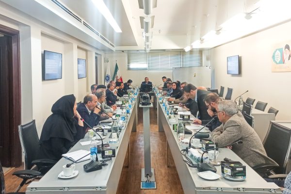 بررسی موانع تعیین تکلیف 300 واحد راکد شهرک تخصصی چوب و مبلمان شرق کشور و سند بخش تعاون