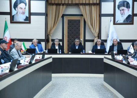 نجات اقتصاد در گرو همگرایی دولت و بخش خصوصی
