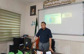 ۱۲ همت برای ساماندهی و تصفیه فاضلاب کشف رود مشهد نیاز است