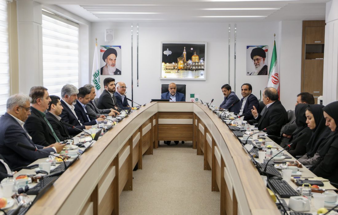 درخواست صدور دستورالعمل رسیدگی مالیاتی بر پایه ارزش منصفانه