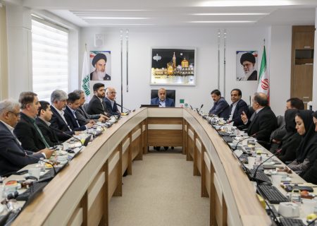 درخواست صدور دستورالعمل رسیدگی مالیاتی بر پایه ارزش منصفانه