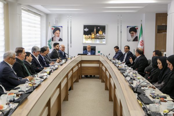درخواست صدور دستورالعمل رسیدگی مالیاتی بر پایه ارزش منصفانه