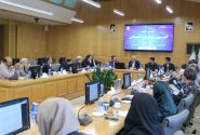 درخواست بخش خصوصی برای تعیین‌تکلیف کوهستان پارک شادی مشهد