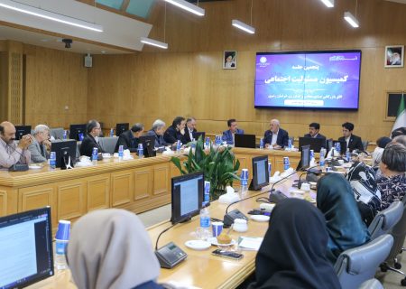 درخواست بخش خصوصی برای تعیین‌تکلیف کوهستان پارک شادی مشهد