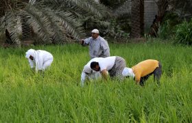 سیلی واقعیت‌های اقلیمی