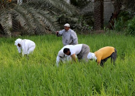 سیلی واقعیت‌های اقلیمی
