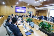 از صف طولانی تخصیص ارز تا عدم اتخاذ تصمیمات محلی در واردات محصولات کشاورزی