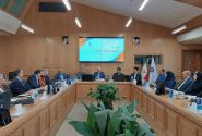 انحصار، رانت و قیمت‌گذاری دستوری؛ سه ضلع گرانی در اقتصاد ایران