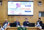 تقویت مالکیت فکری و نوآوری؛ کلید ارزش‌آفرینی در صنعت زعفران