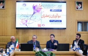 تقویت مالکیت فکری و نوآوری؛ کلید ارزش‌آفرینی در صنعت زعفران