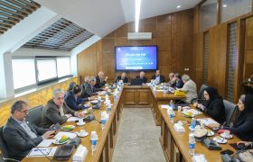 لزوم تمرکز بر توسعه شرق کشور و حمایت هدفمند از زعفران