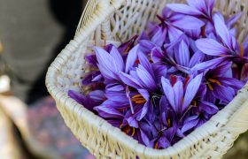 طلای سرخی که رنگ می‌بازد