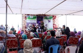 گزارش تصویری دومین کاروان ترویج بهرهوری، ویژه الگوی کشت روز ملی زعفران در شهرستان تربت حیدریه(جشنواره ملی زعفران)