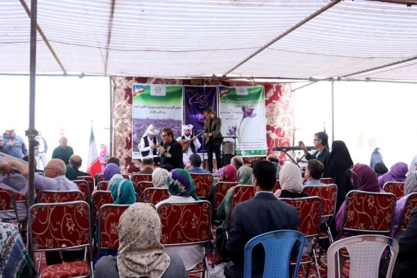 گزارش تصویری دومین کاروان ترویج بهره‌وری، ویژه الگوی کشت روز ملی زعفران در شهرستان تربت حیدریه(جشنواره ملی زعفران)