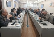 بررسی آیین‌نامه اجرایی قانون دامپزشکی و موضوع استرداد عوارض آب مجازی زعفران