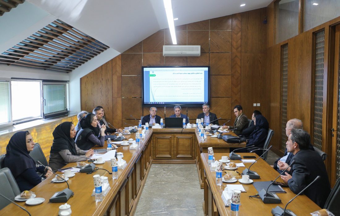 تاکید بر رفع تعارضات قانونی و ایجاد مسیرهای حمایتی برای فعالان اقتصادی