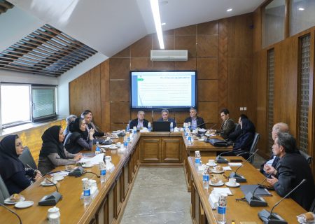 تاکید بر رفع تعارضات قانونی و ایجاد مسیرهای حمایتی برای فعالان اقتصادی