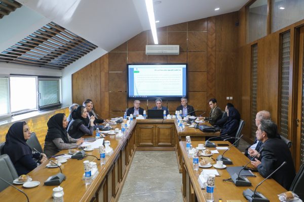 تاکید بر رفع تعارضات قانونی و ایجاد مسیرهای حمایتی برای فعالان اقتصادی