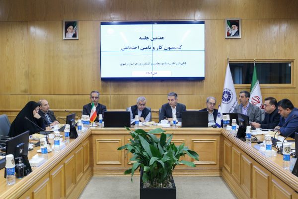 تاکید بر آموزش و نظارت بر ایمنی عوامل کار و اجرای آرای دیوان عدالت اداری