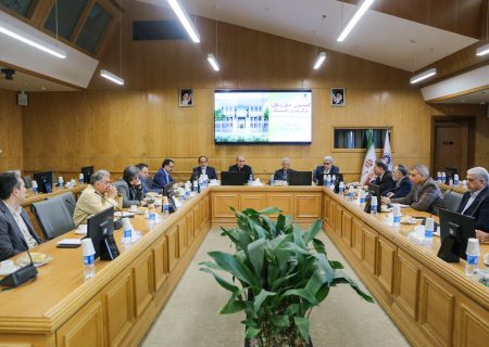 احصای علل تکرار توقف ناوگان در مرزهای دوغارون و لطف‌آباد