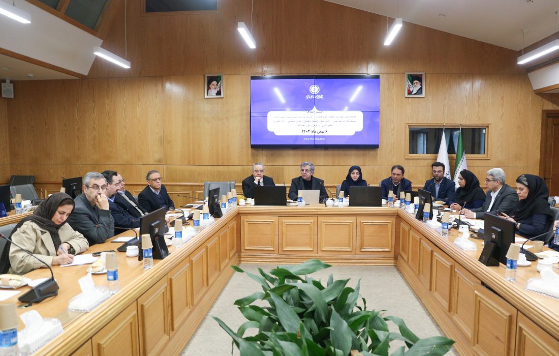 تاکید بر توجه به منافع ملی در پروژه‌های مشارکت عمومی و خصوصی