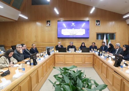 تاکید بر توجه به منافع ملی در پروژه‌های مشارکت عمومی و خصوصی