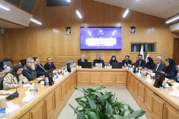 تاکید بر توجه به منافع ملی در پروژه‌های مشارکت عمومی و خصوصی