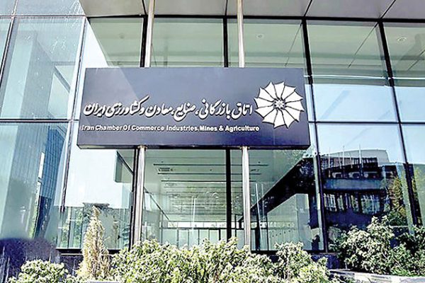 بار دولت بر دوش بخش‌خصوصی