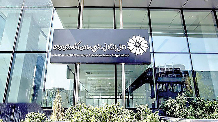 بار دولت بر دوش بخش‌خصوصی