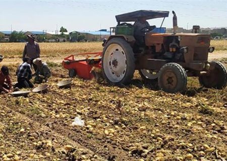 62 درصد از منابع بانک کشاورزی صرف هزینه‌های غیرمولد شده است | سهم 3.6 درصدی بخش کشاورزی از سرمایه‌گذاری کل کشور