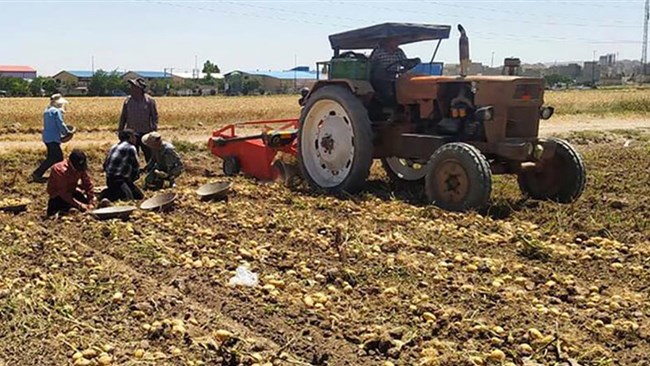 62 درصد از منابع بانک کشاورزی صرف هزینه‌های غیرمولد شده است | سهم 3.6 درصدی بخش کشاورزی از سرمایه‌گذاری کل کشور