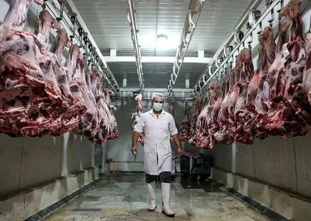 مقصران آشفتگی!