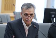 زعفران ایران باید به برند ملی و نماد اقتصادی کشور در بازار جهانی تبدیل شود