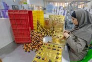 فرصتهای پنهان در بازار جهانی شیرینی و شکلات | چگونه میتوان سهم ایران را در بازار جهانی افزایش داد؟