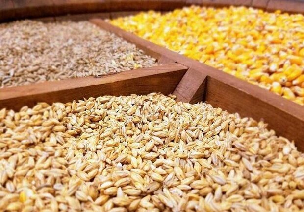 عرضه بیش از ۶۰۰ هزار تن نهاده دامی در بازارگاه