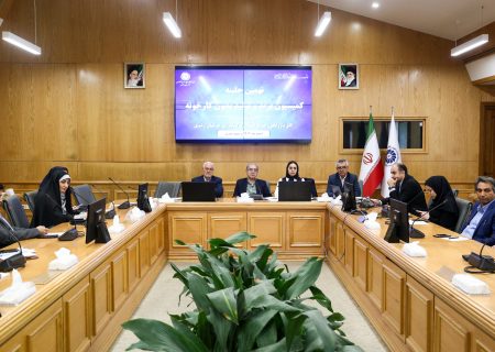 تاکید بر بهره‌گیری از ظرفیت‌های خالی صنایع برای توسعه «تولید بدون کارخانه»
