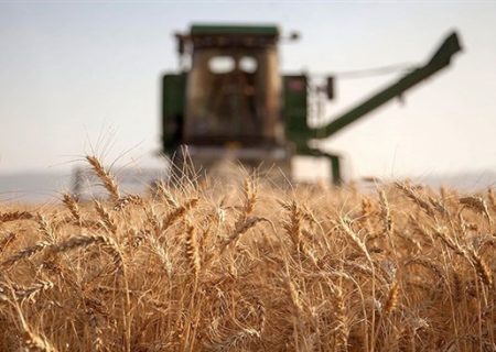 افزایش قیمت گندم در بازار جهانی | افزایش ریسک در بازار مواد غذایی خاورمیانه تحت تأثیر جنگ