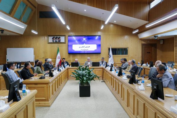 تاکید بر اصلاح سیاست‌های حمایتی برای صیانت از تولید و امنیت غذایی