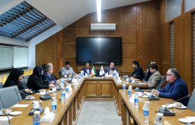 هم‌افزایی برای حفاظت از محیط زیست؛ وظیفه‌ای فراتر از یک دستگاه اجرایی