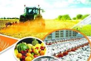 آسیب‌شناسی اثرات جنگ رمضان بر امنیت غذایی کشور