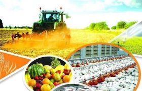 آسیب‌شناسی اثرات جنگ رمضان بر امنیت غذایی کشور