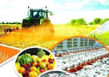 آسیب‌شناسی اثرات جنگ رمضان بر امنیت غذایی کشور