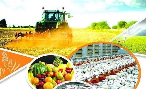 آسیب‌شناسی اثرات جنگ رمضان بر امنیت غذایی کشور