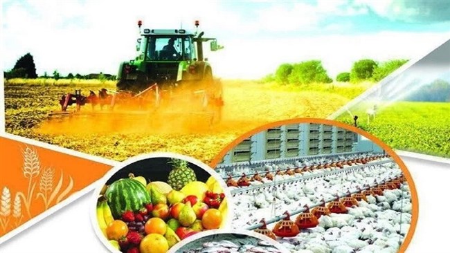 آسیب‌شناسی اثرات جنگ رمضان بر امنیت غذایی کشور