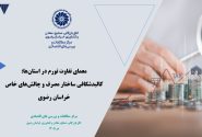 کالبدشکافی ساختار مصرف در خراسان رضوی