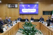 راهکارهای توسعه تولید بدون کارخانه با محوریت شناسایی ظرفیتهای خالی، برندسازی و رفع موانع قانونی